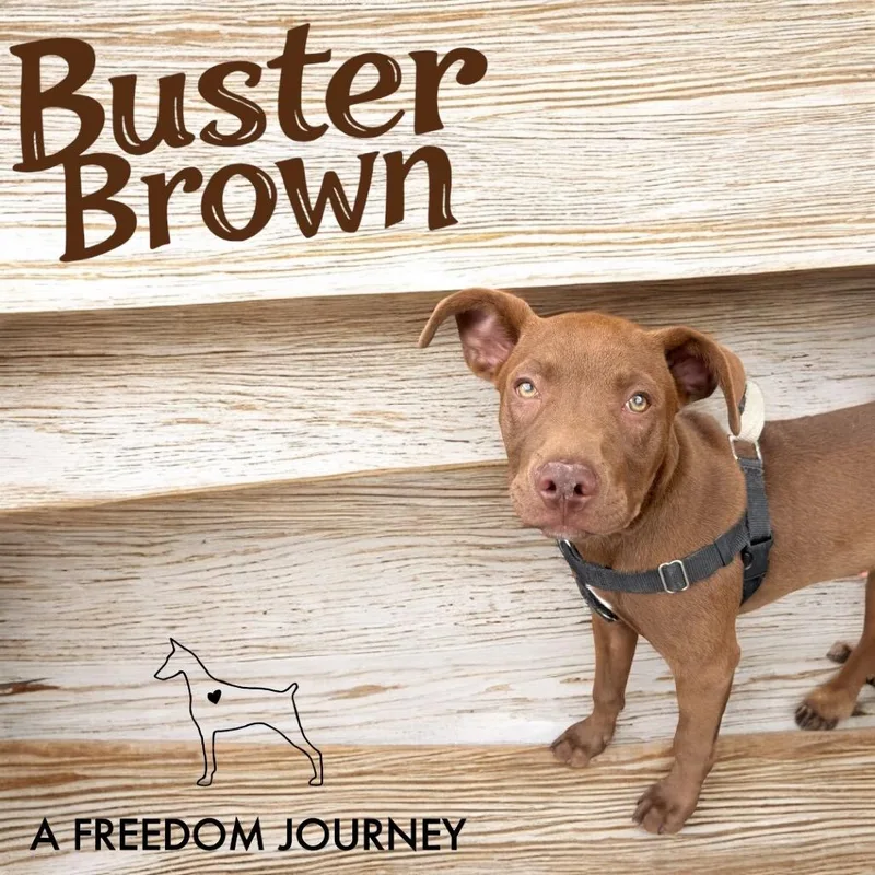 Buster Brown thumbnail 6