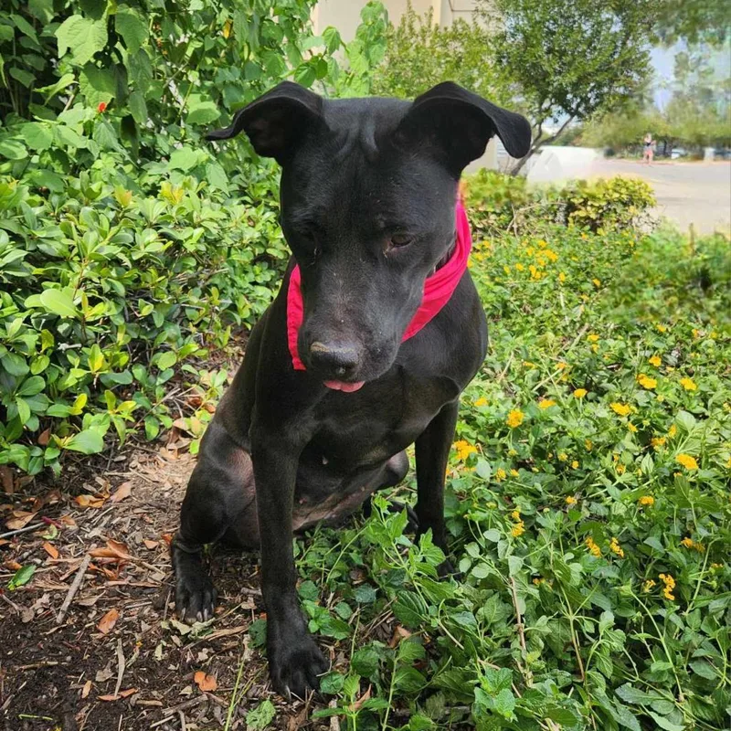 Yaya Jum thumbnail 6