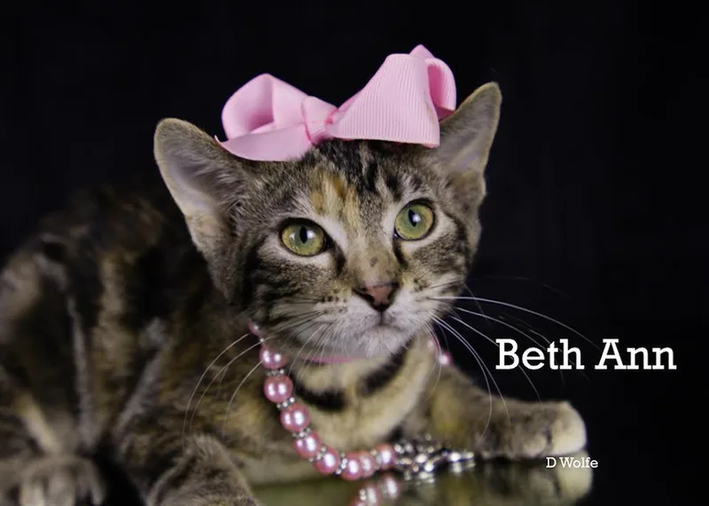 Beth Ann