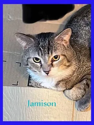 Jamison thumbnail 4