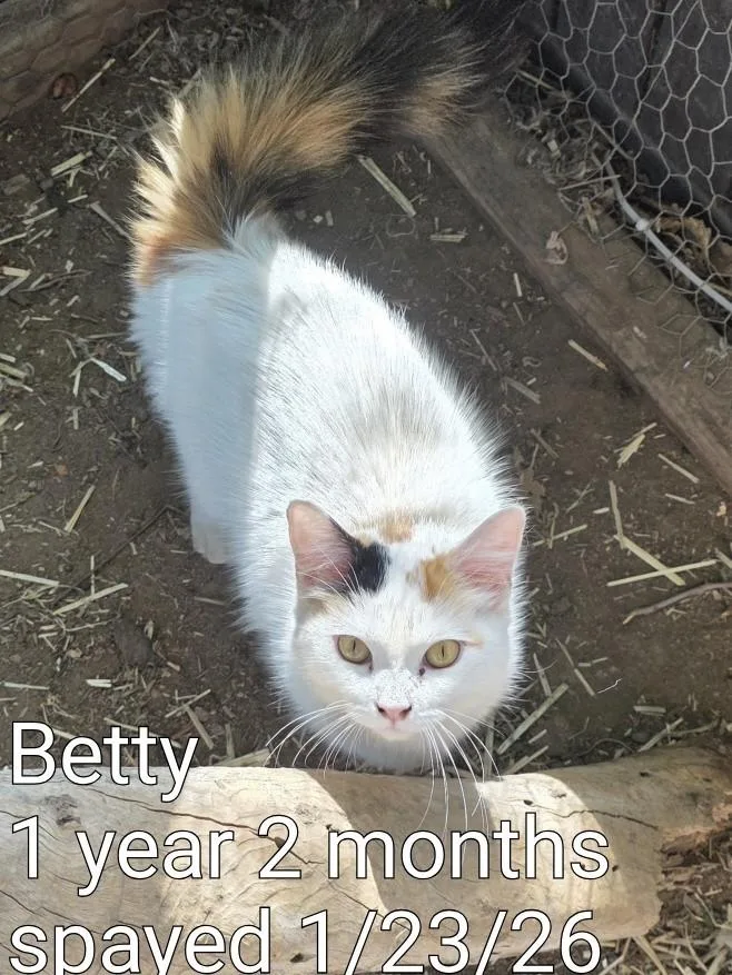 Betty