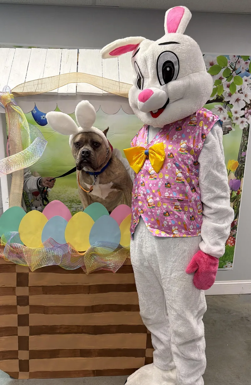 Espresso thumbnail 4