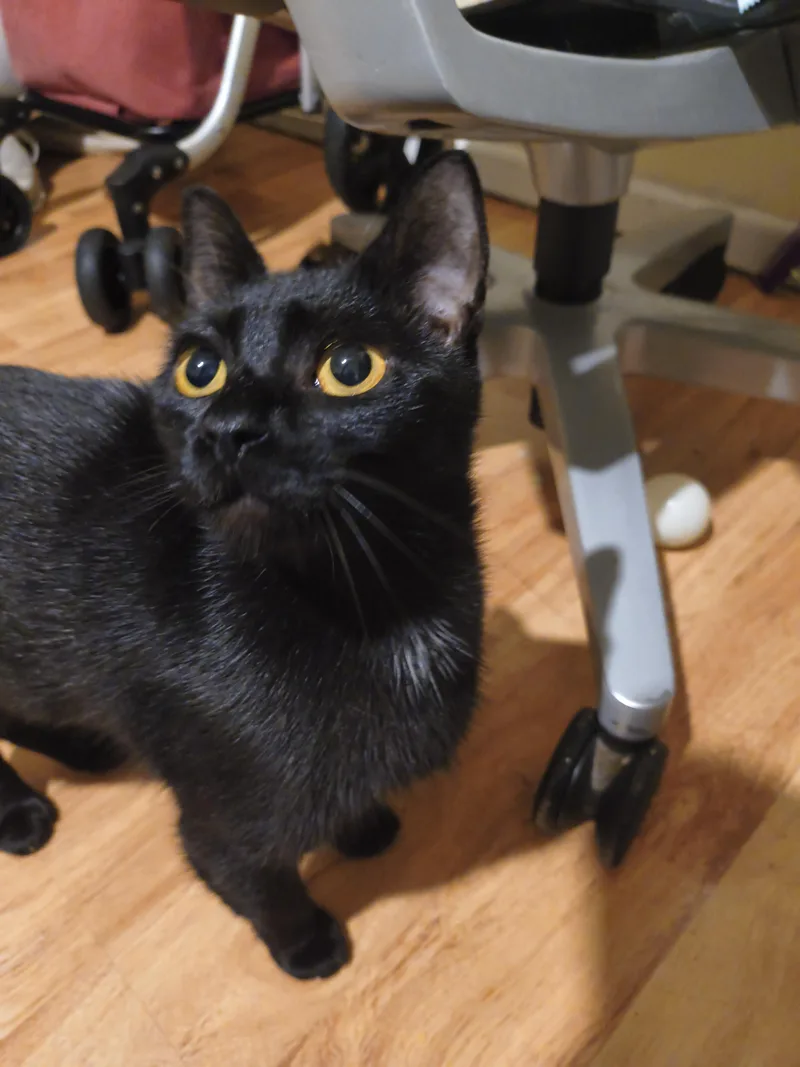 Billie jean thumbnail 2