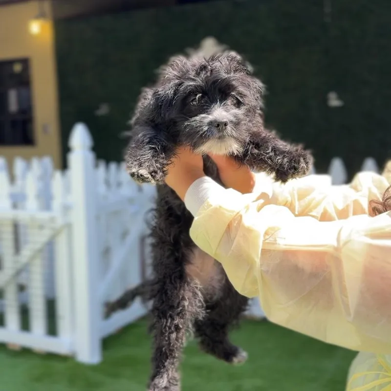 Skyler A thumbnail 2