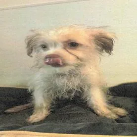 Skyler A thumbnail 3