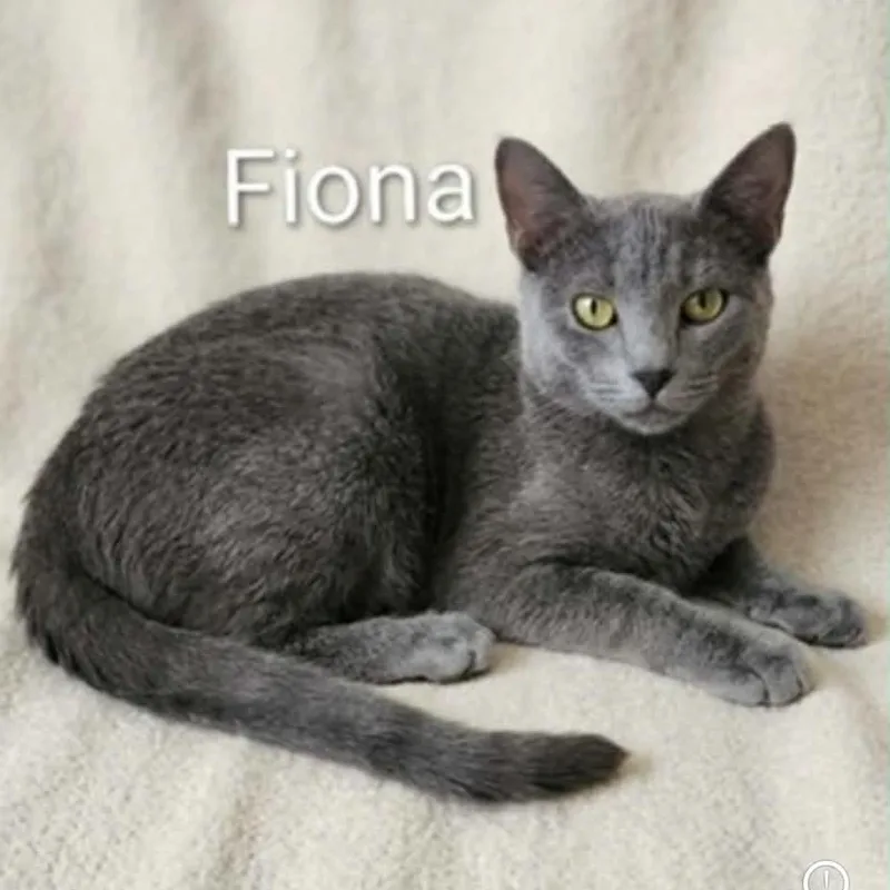 Fiona thumbnail 2
