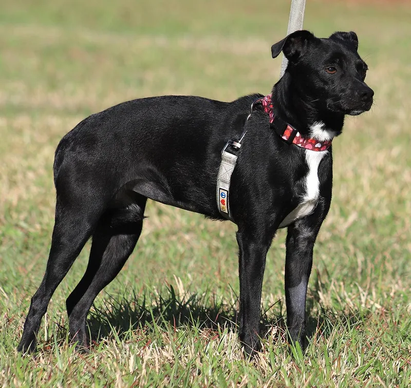 Juliette thumbnail 2