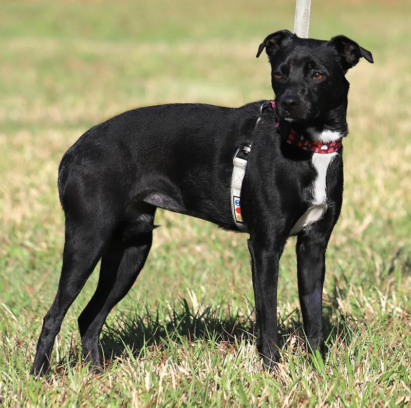 Juliette thumbnail 3