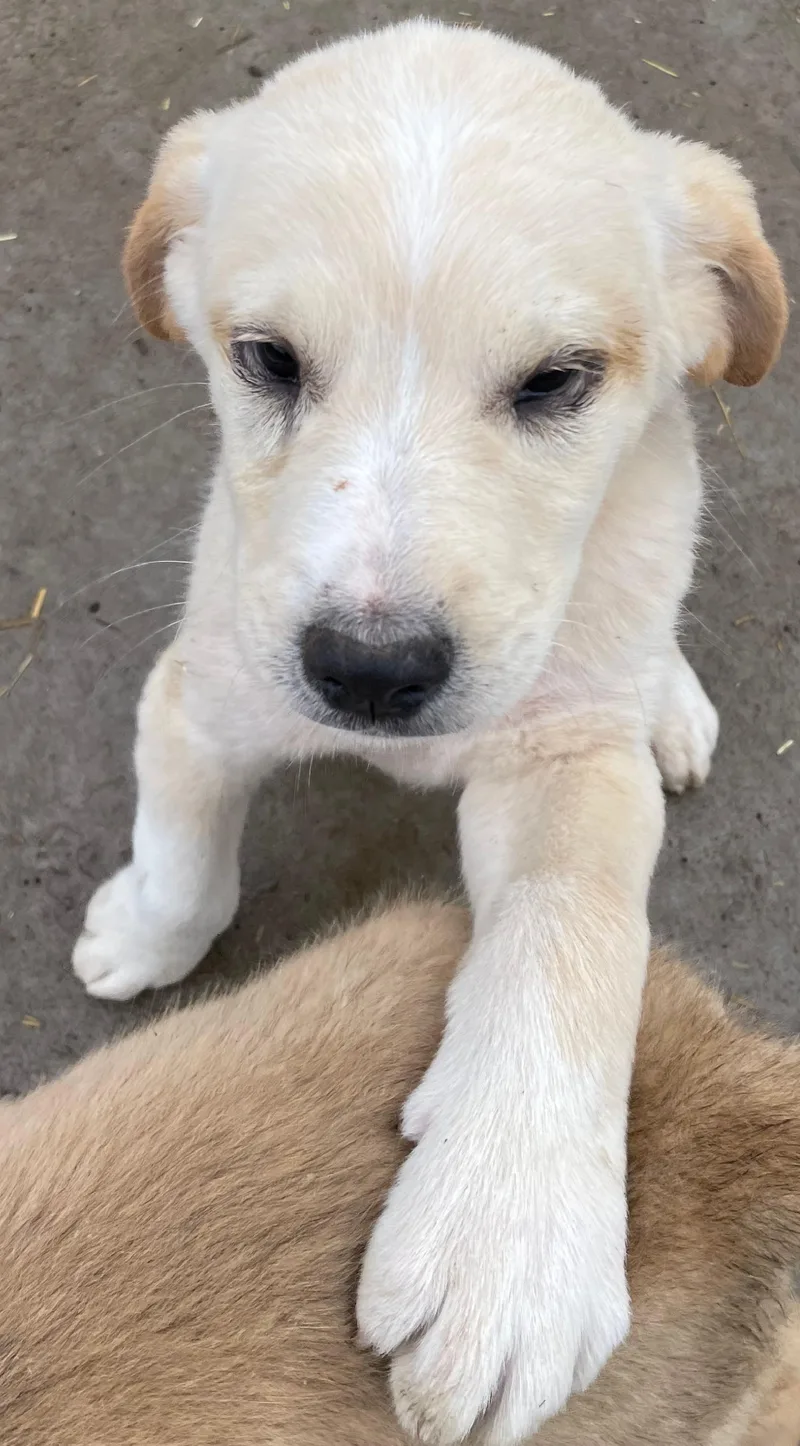 Eddie Excellent thumbnail 2