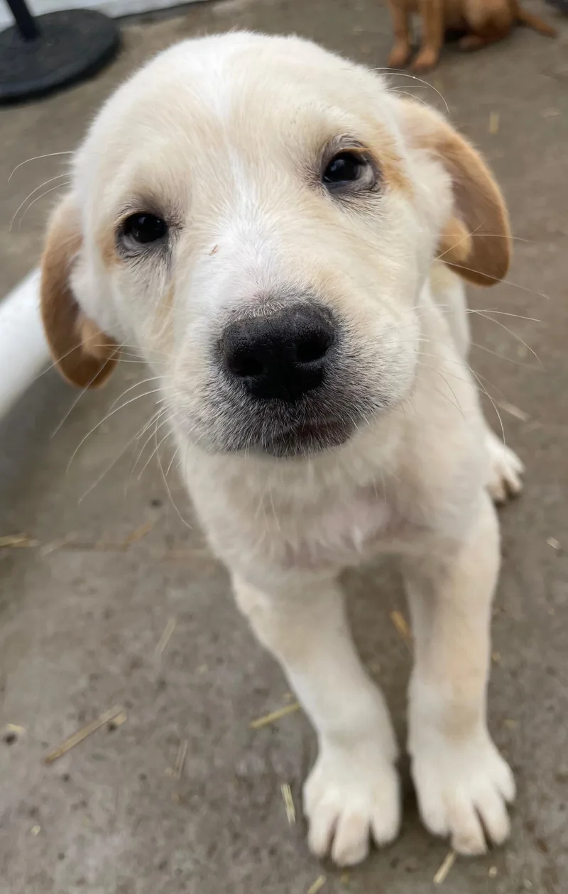 Eddie Excellent thumbnail 3