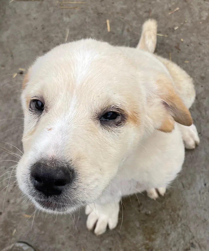 Eddie Excellent thumbnail 4