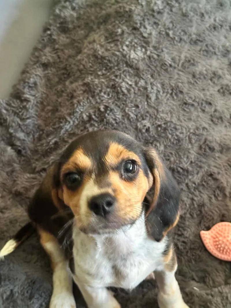 Lola thumbnail 4