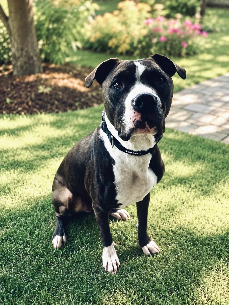 Remington aka Remi