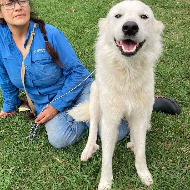 Elle — The Pocket thumbnail 2