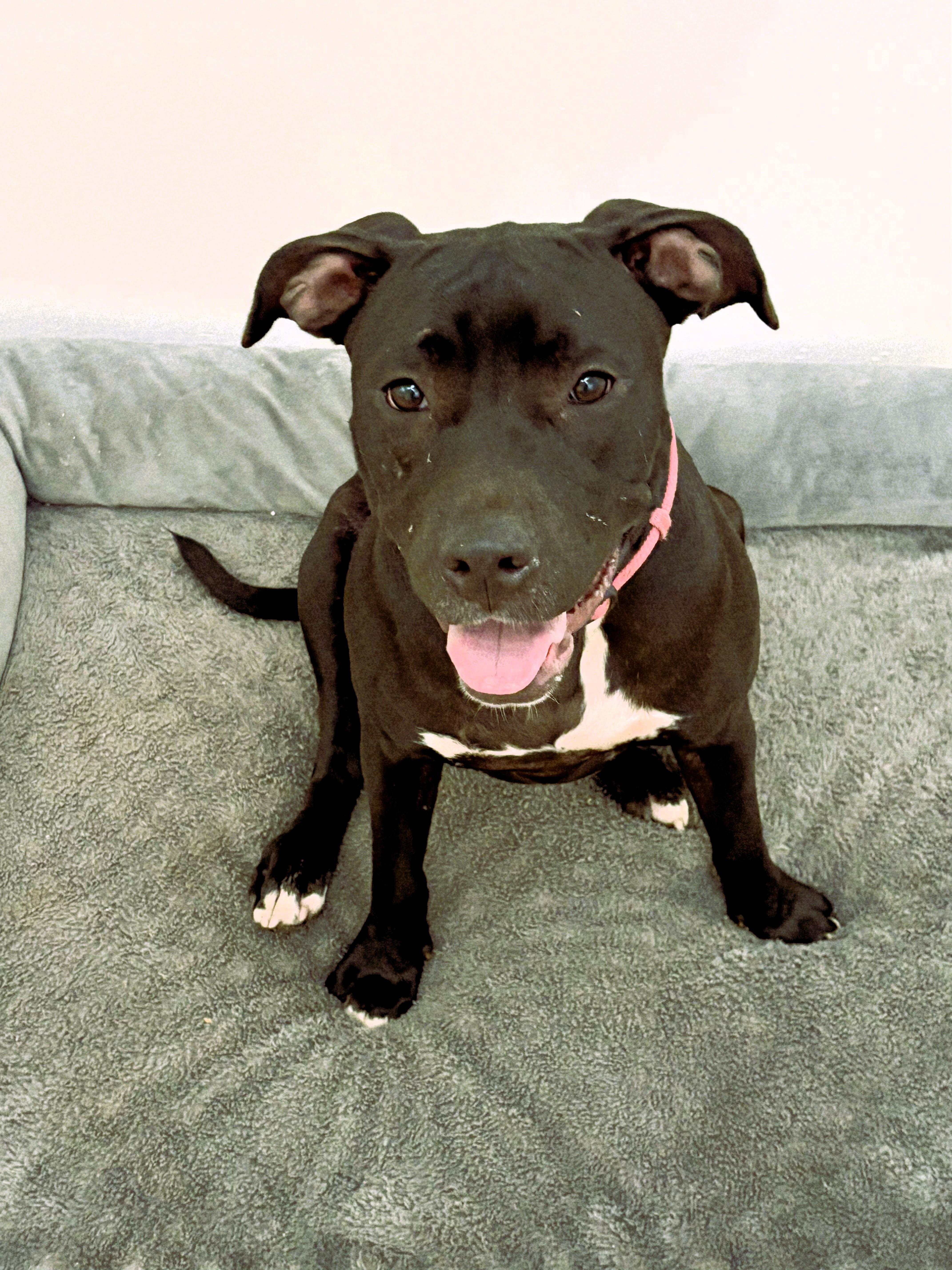 Princess thumbnail 2