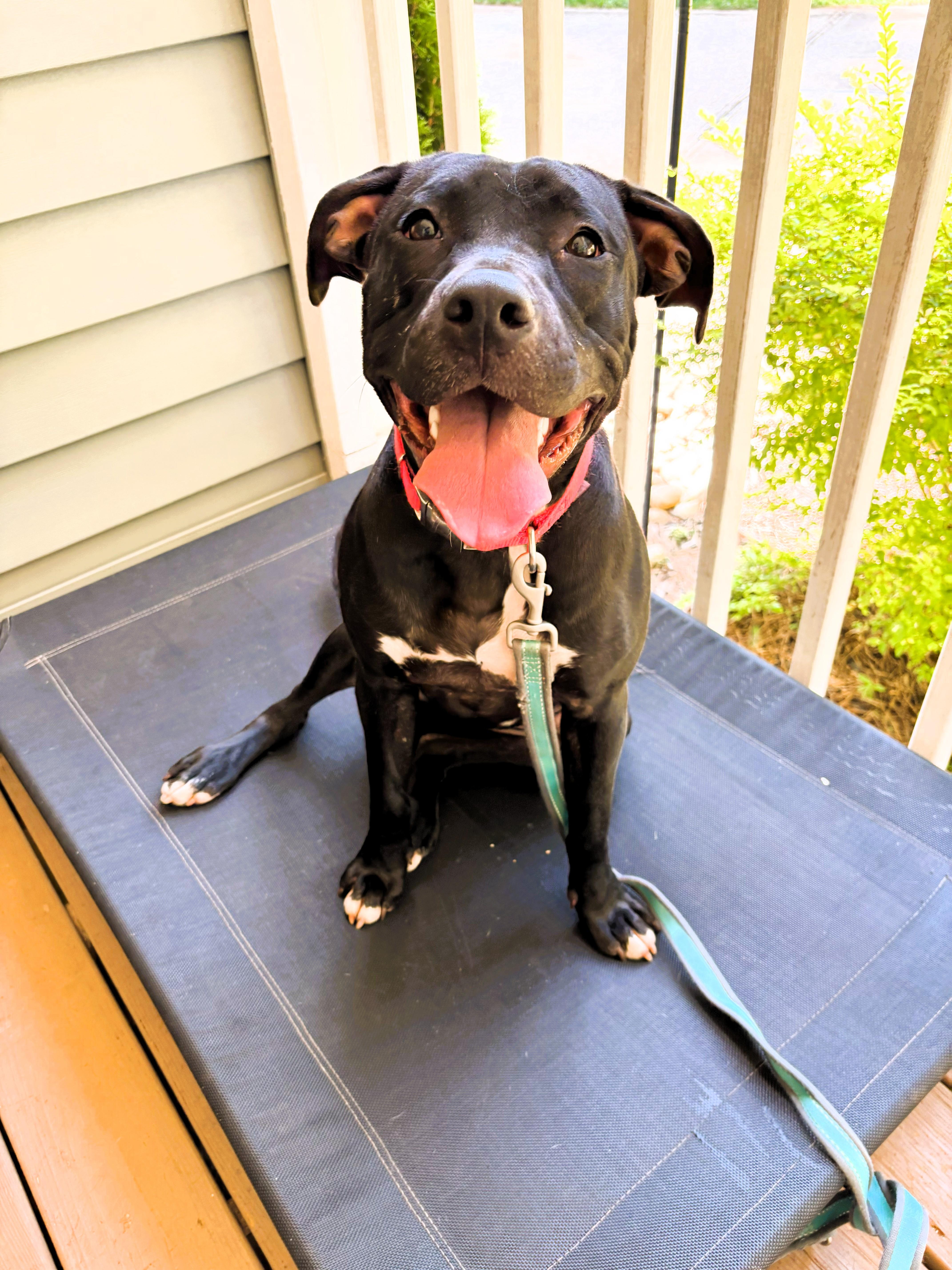 Princess thumbnail 4