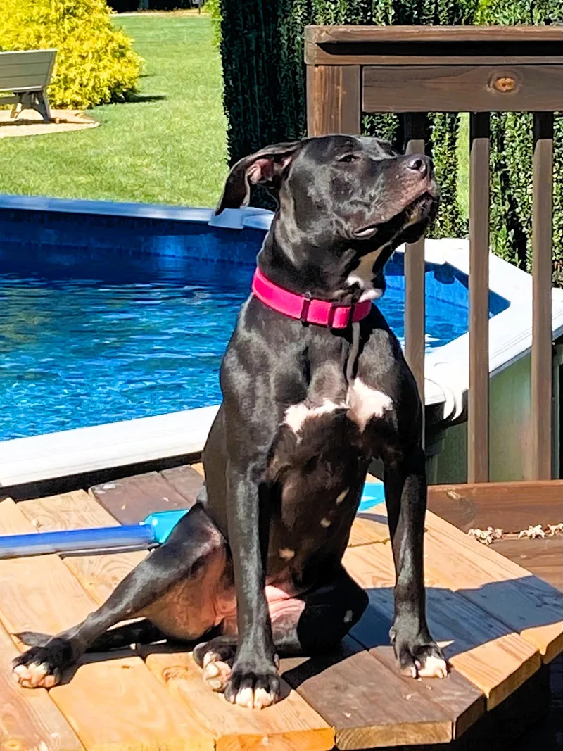 Princess thumbnail 5