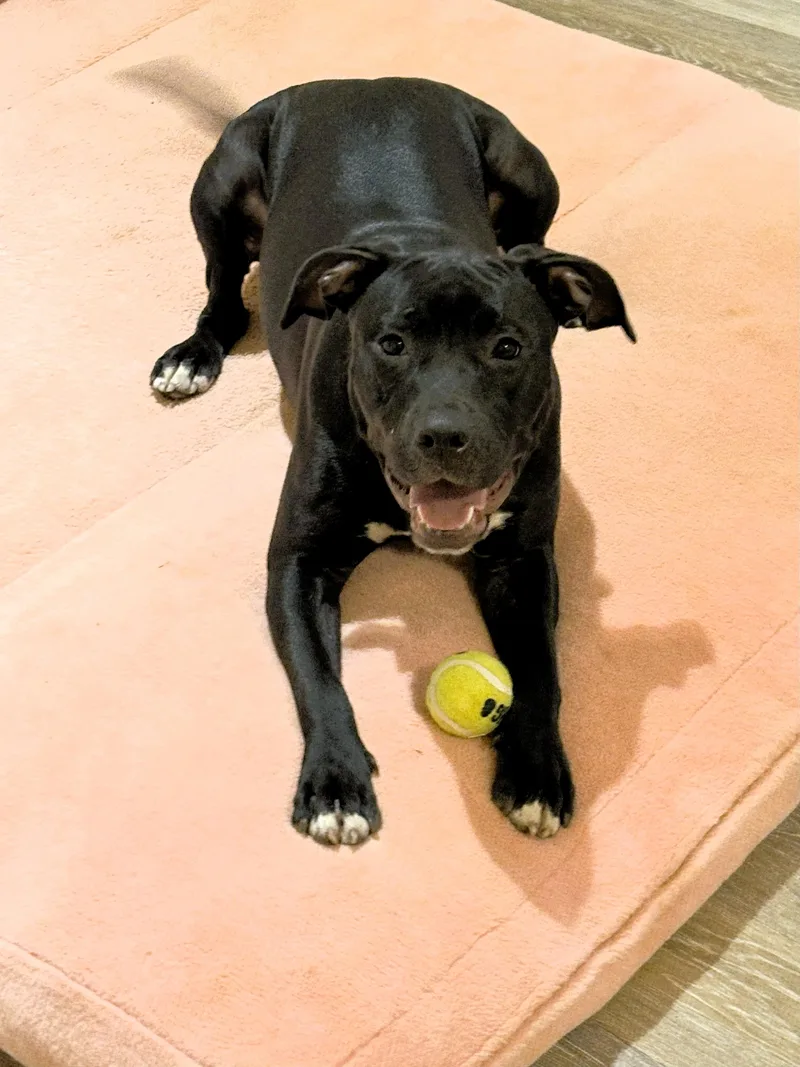 Princess thumbnail 6