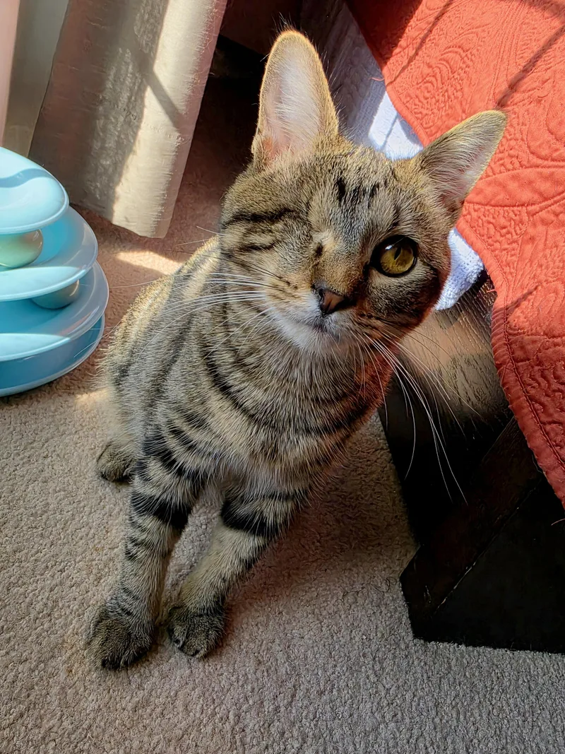 Remy & Keeley thumbnail 2