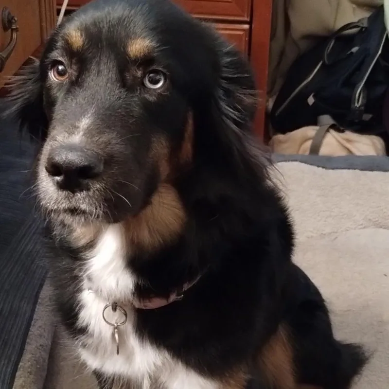 Ellie