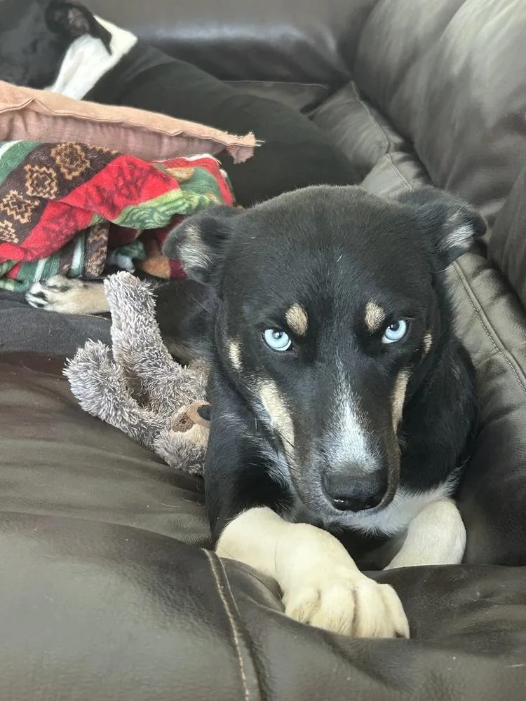 Mama Blue