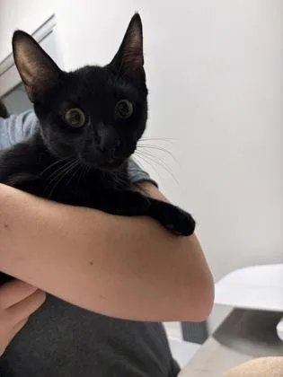 Precious
