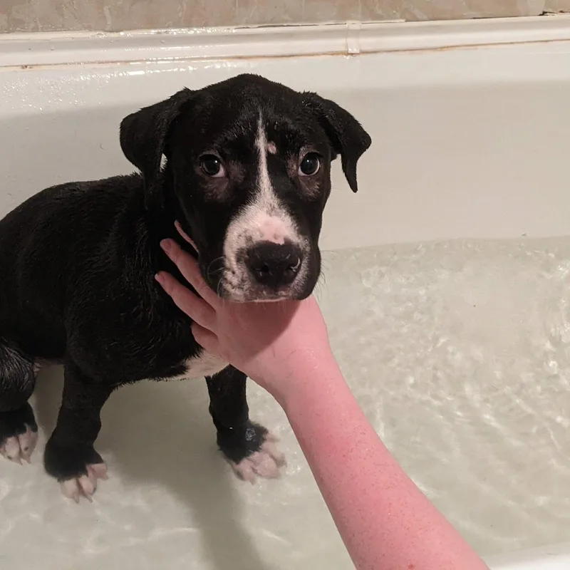 Loki thumbnail 4
