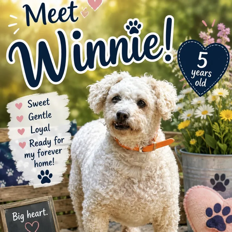 Winnie