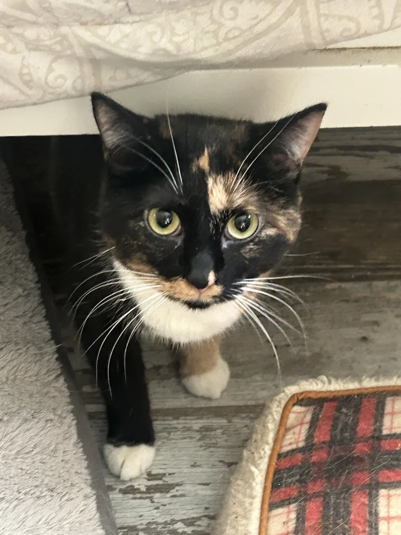 Theo And Millie thumbnail 3