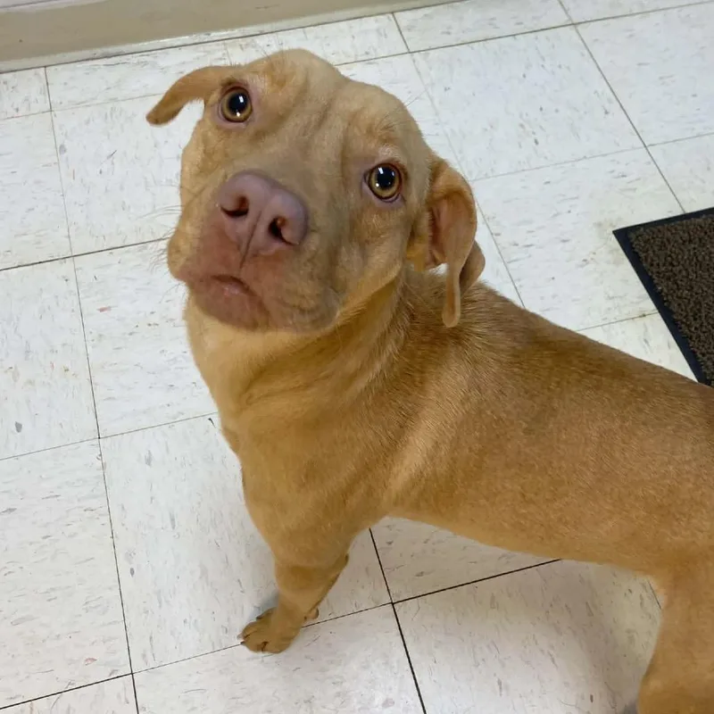 Katherine thumbnail 2