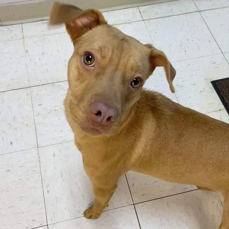 Katherine thumbnail 4