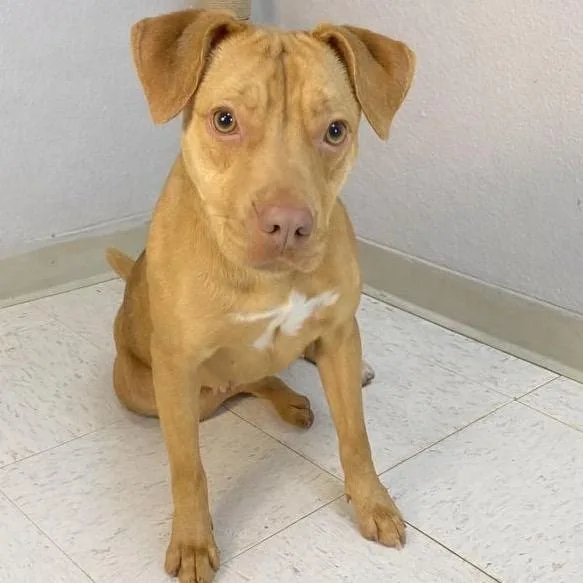 Katherine thumbnail 5