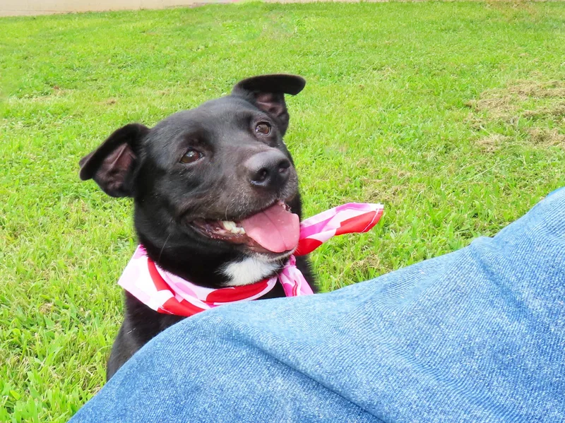 Darcie C thumbnail 4