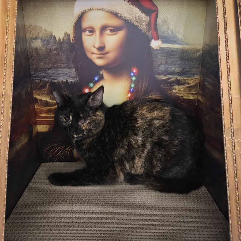 Daiquiri thumbnail 2