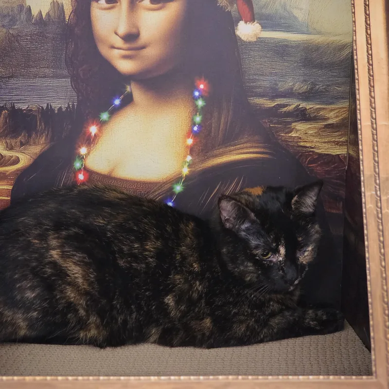 Daiquiri thumbnail 3