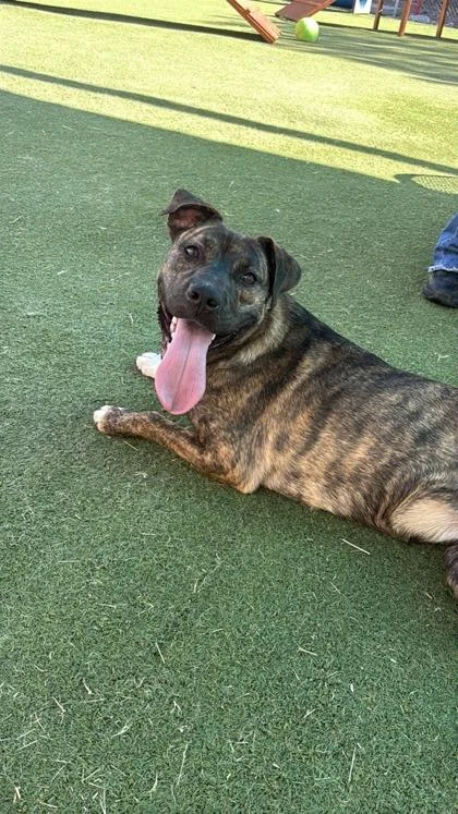 Samantha thumbnail 2