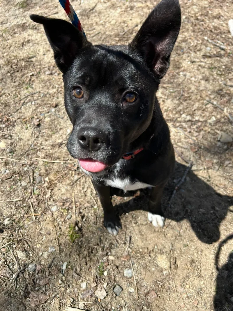 Max