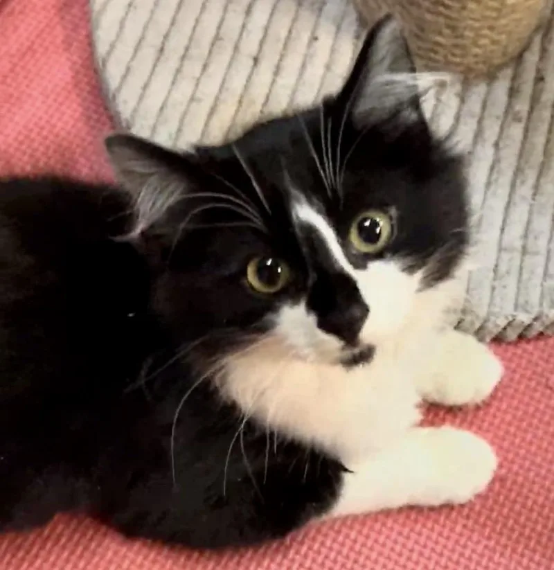 Shorty & Maria  thumbnail 2