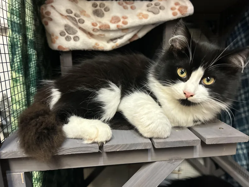 Shorty & Maria  thumbnail 3