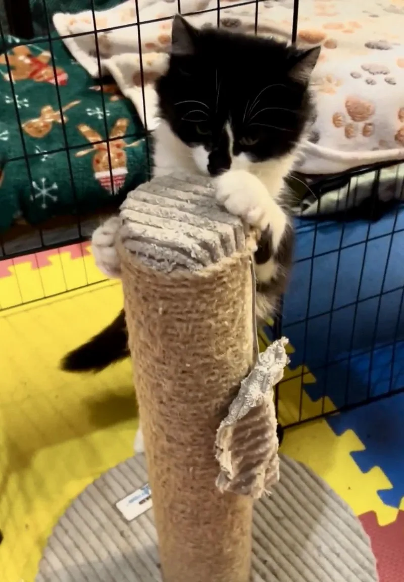 Shorty & Maria  thumbnail 5