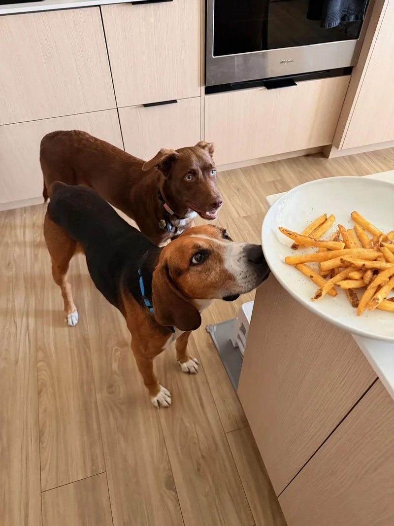 Sweetie Pie thumbnail 2