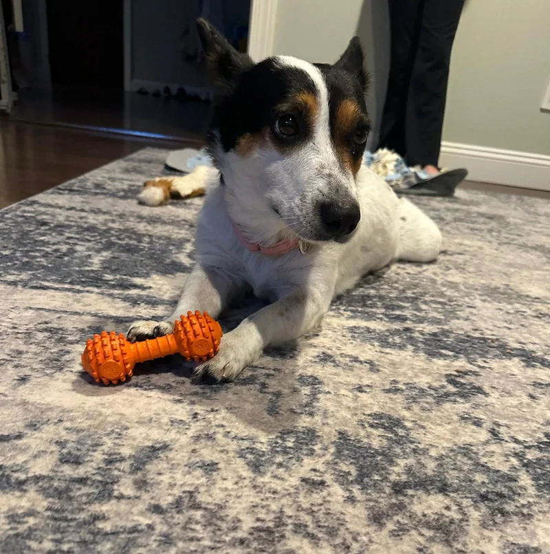 Maggie thumbnail 2