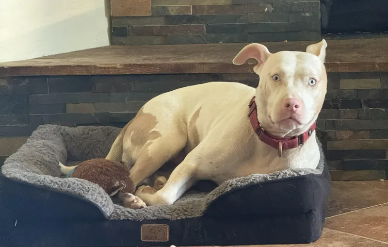 Hopehappy Girl! thumbnail 3