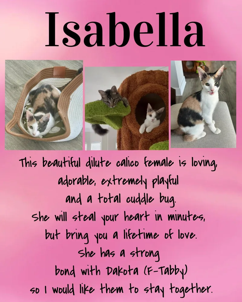 Isabella C thumbnail 2