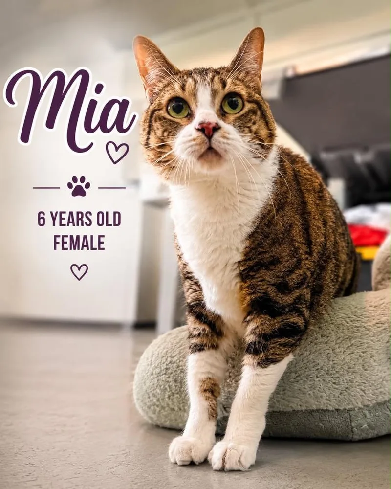 Mia