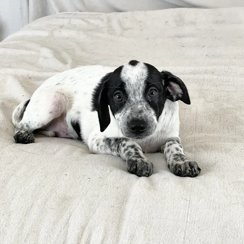 Wonderful Rixey thumbnail 2