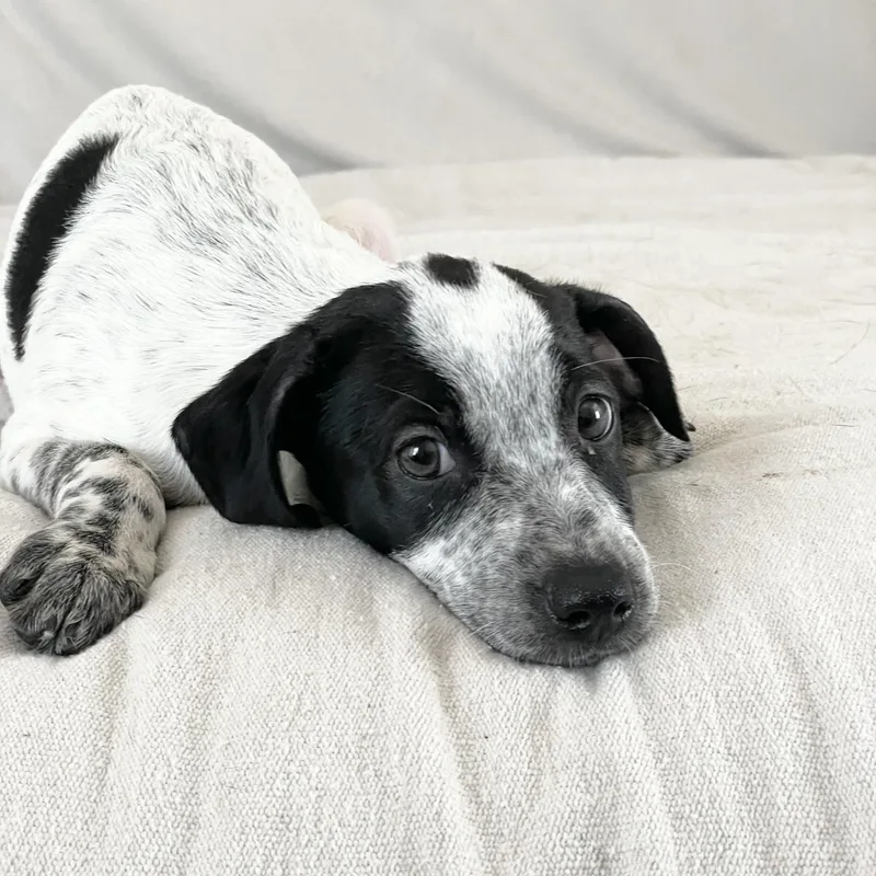 Wonderful Rixey thumbnail 3