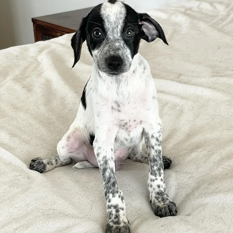 Wonderful Rixey thumbnail 4