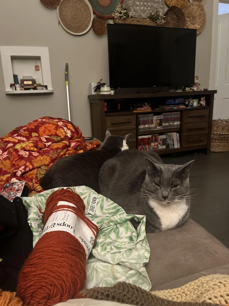 Muffin thumbnail 3