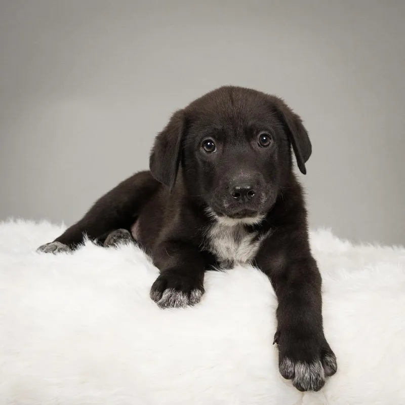 Jesses James thumbnail 2